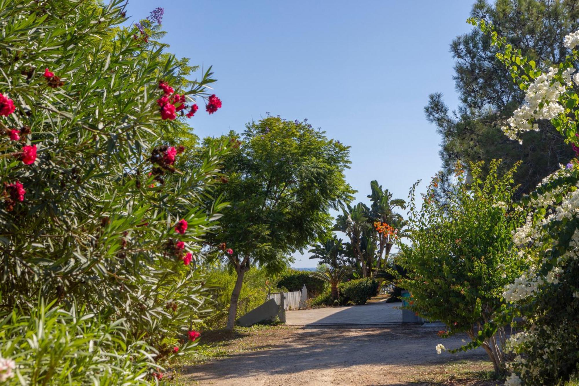 Sycamore Seaview * Agia Napa
