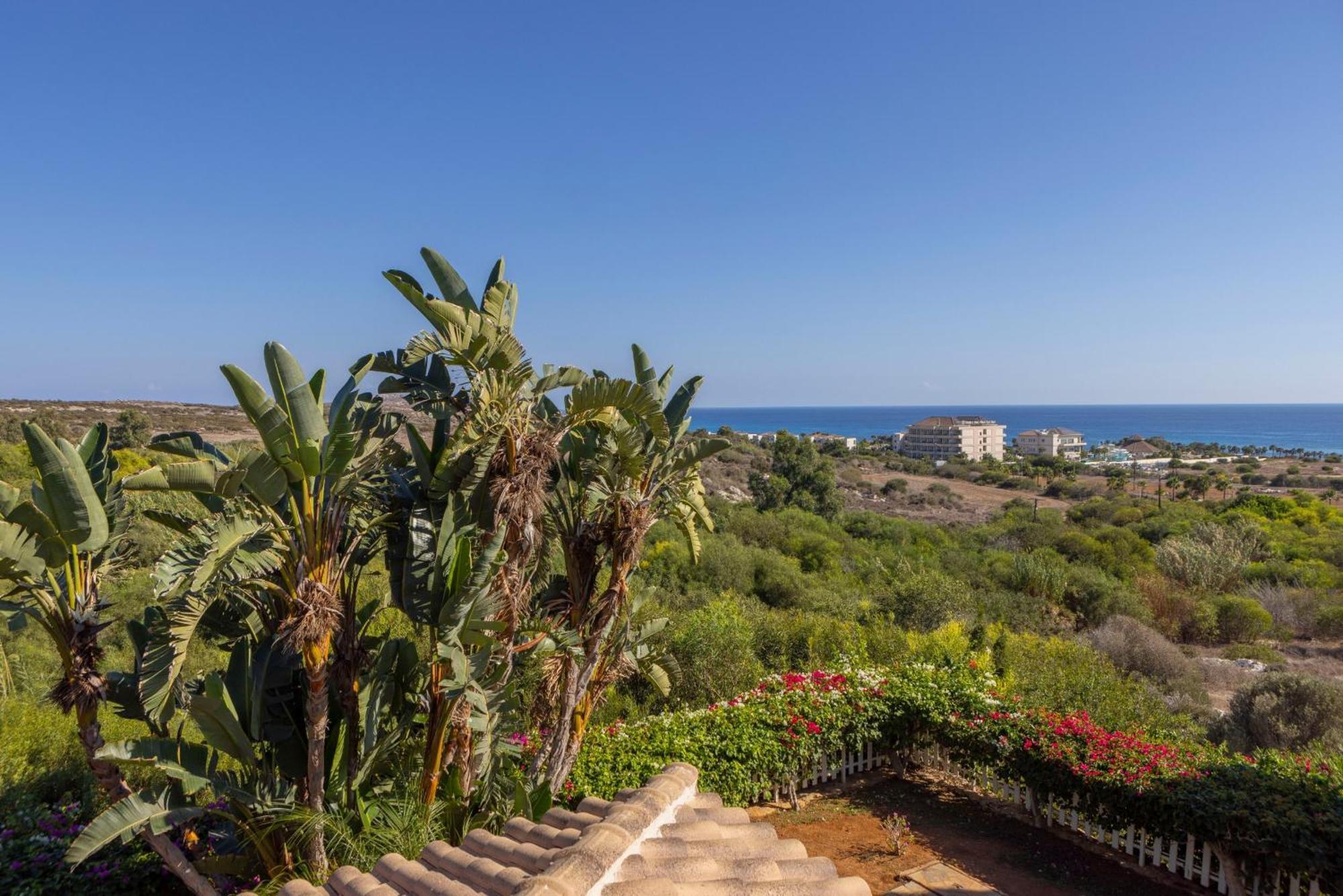 Sycamore Seaview Agia Napa