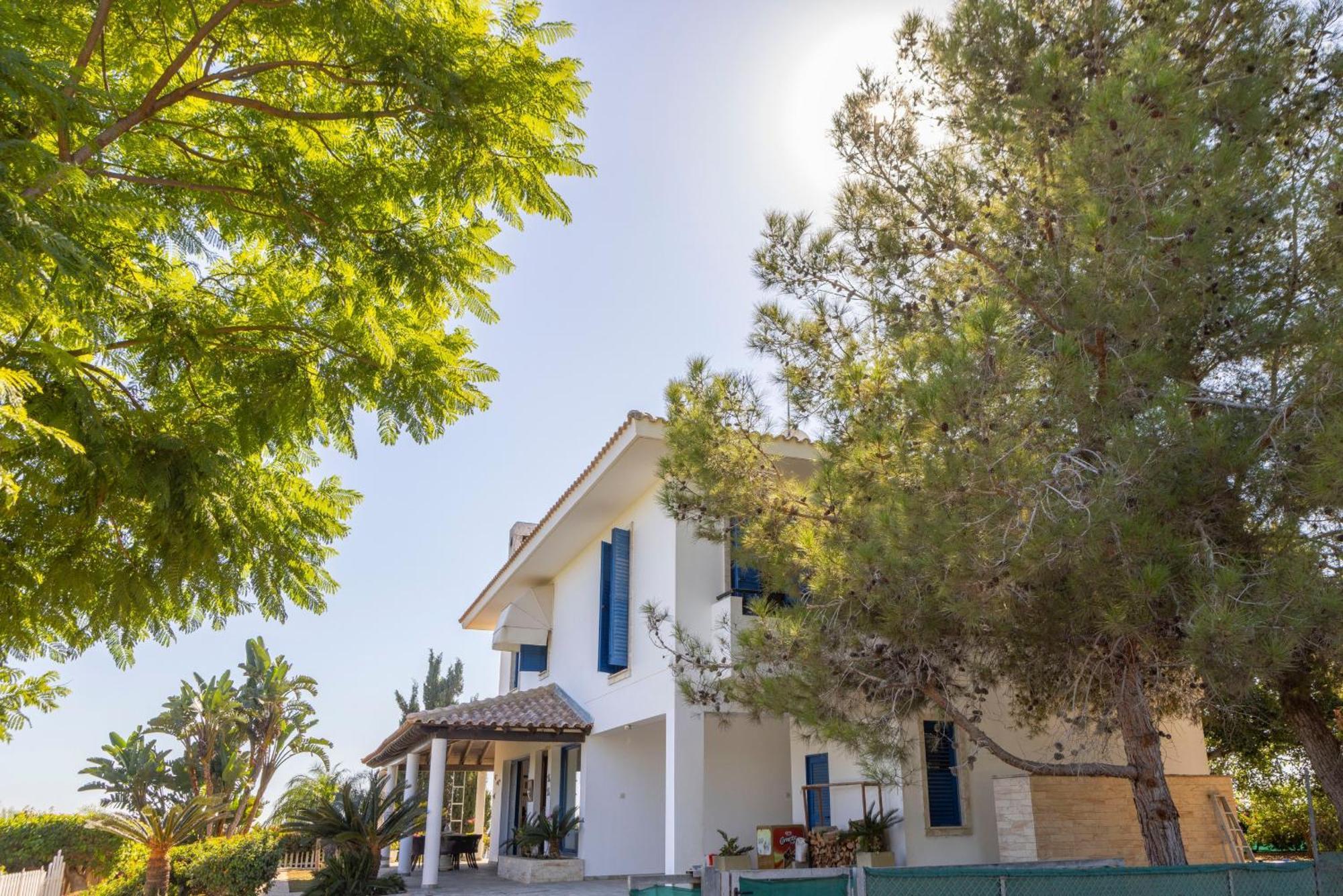 Sycamore Seaview * Agia Napa