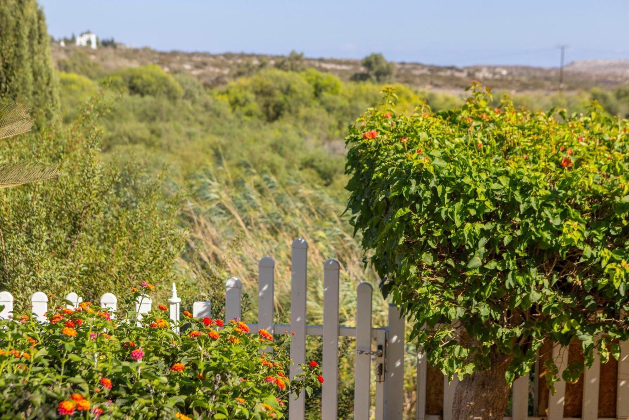 Sycamore Seaview Villa Agia Napa